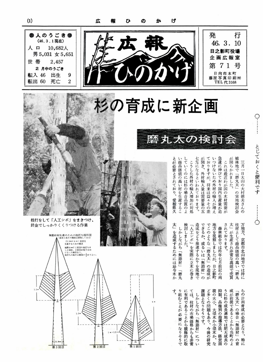 広報ひのかげ　第71号　1971年3月発行の表紙画像