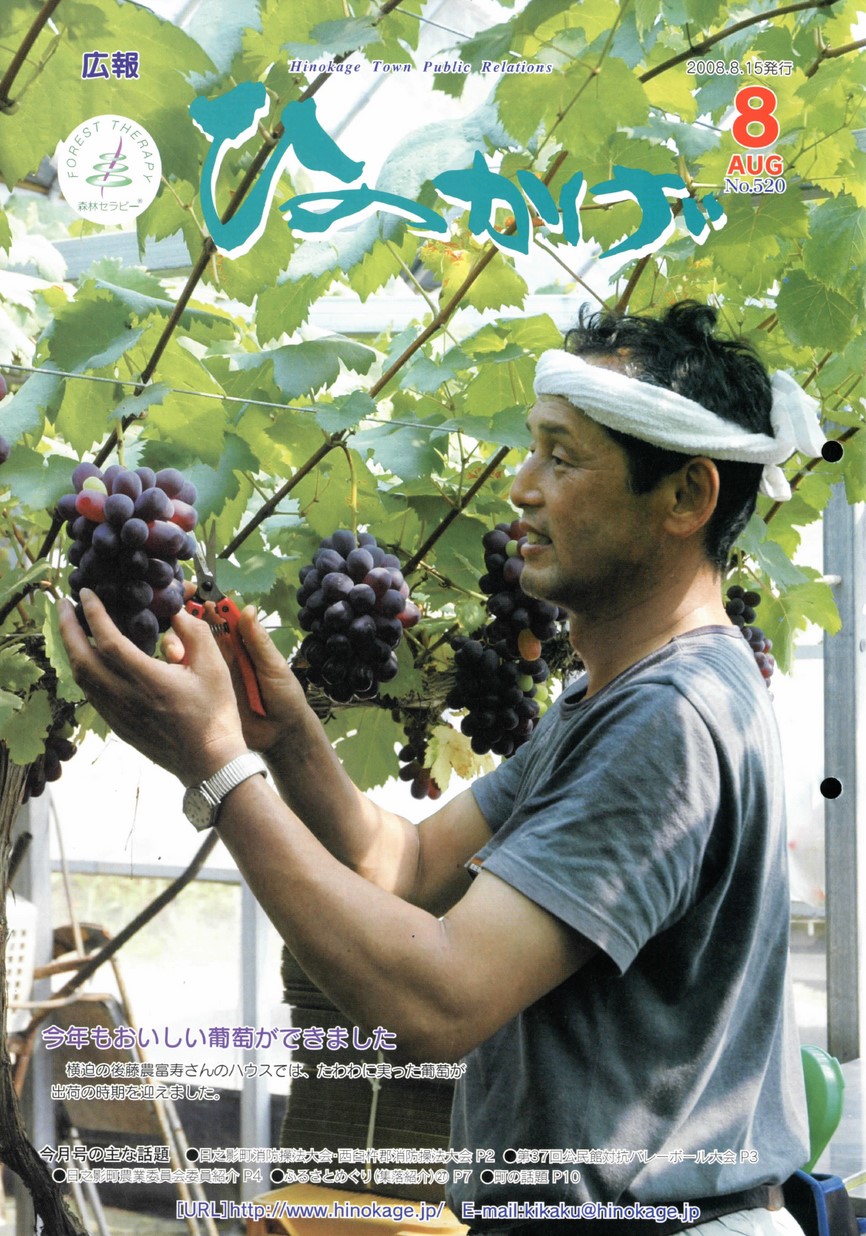 広報ひのかげ　第520号　2008年8月発行の表紙画像